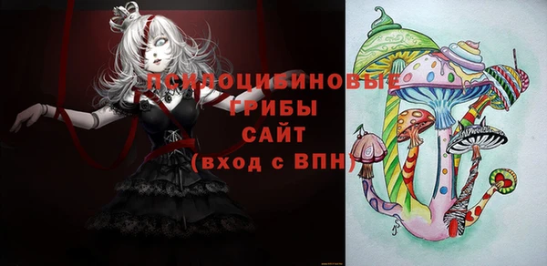 а пвп мука Абаза