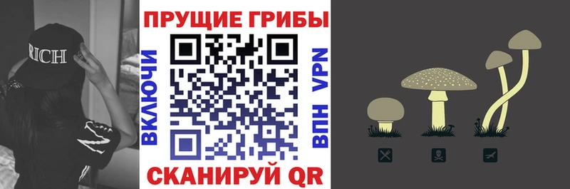 Галлюциногенные грибы мухоморы  наркотики  Яблоновский 